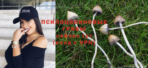 метадон Алексин
